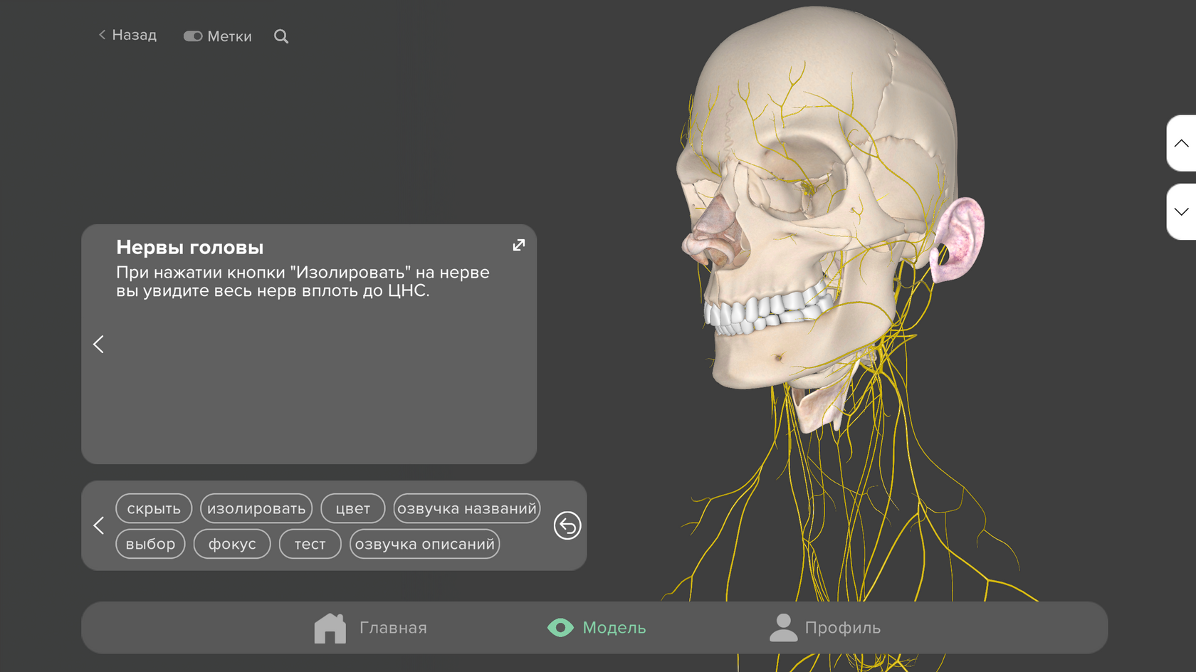 Background color — dark gray