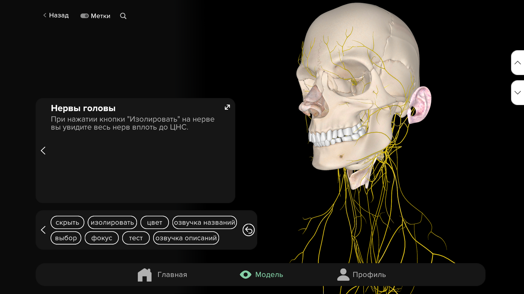 Background color — black